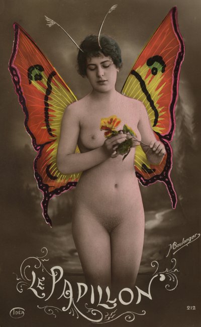 De vlinder door French Photographer